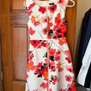 Adrianna Papell Floral Midi Dress - Pink and Red